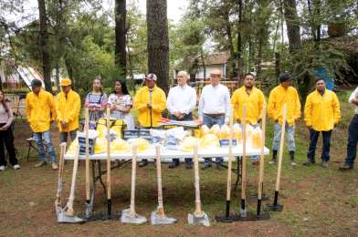 APEAM hizo entrega voluntaria de 400 mil plantas de 8 especies de pino