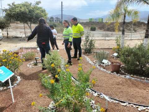 Cemex lidera red de promotores ambientales en defensa de la biodiversidad