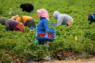 Crecimiento de la informalidad y una reinsercin complicada, entre los retos del mercado laboral ante deportaciones