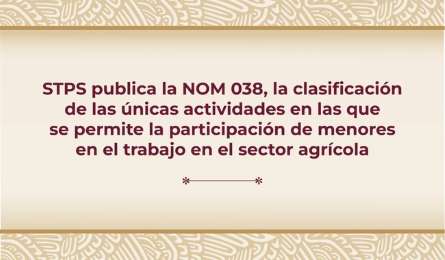 Nueva NOM 038 establece qu labores agrcolas pueden realizar menores